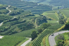 TRIG-Europatreffen-197