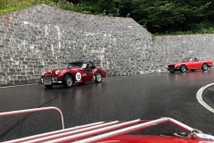 08_2021_D-CH-Mollis_05