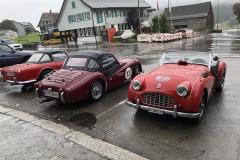 08_2021_D-CH-Mollis_10